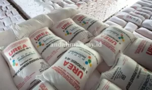 mengapa-harga-pupuk-tani-mahal-dan-langka?